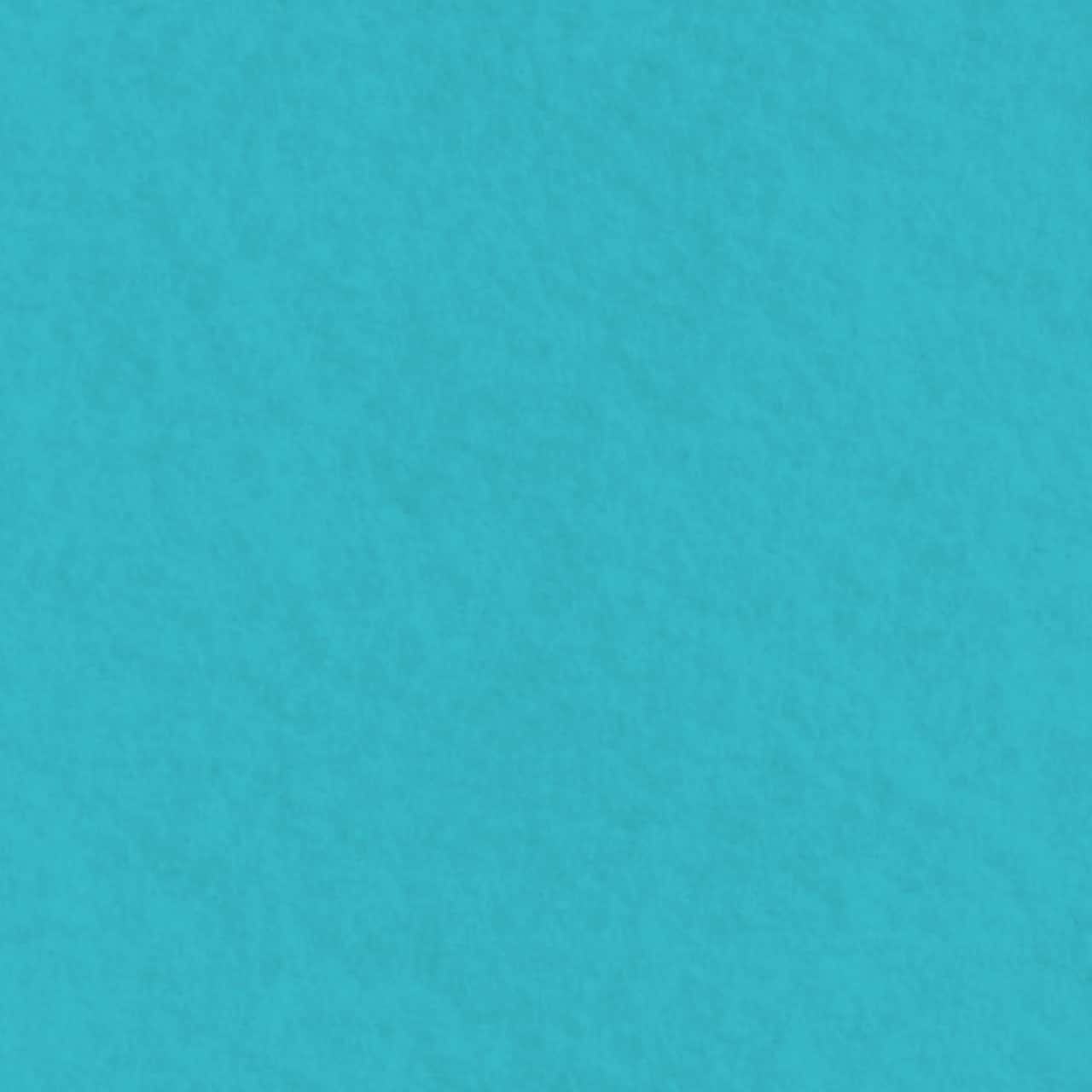 10 yd. Full Bolt: Eugene Textiles Solid Polyester Craft Felt